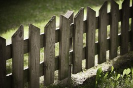 Fence