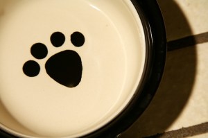Dog Bowl
