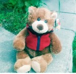 Captain Will Bear (small)