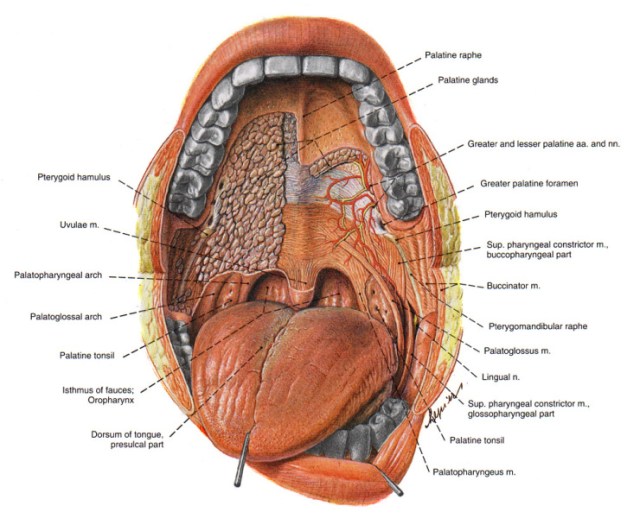 I hate to think about any of this stuff.