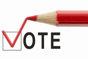 write-in-vote